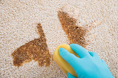 cleaning_carpet