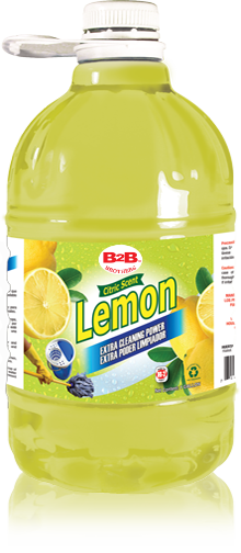 lemon_b2b_gall